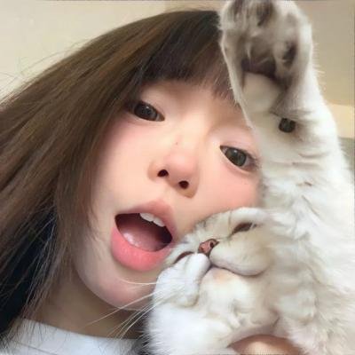 小野猫的公路历险记